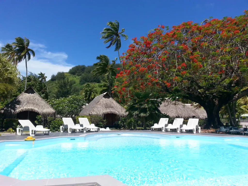 Hibiscus piscine île Moorea