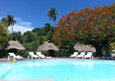 Hibiscus piscine île Moorea