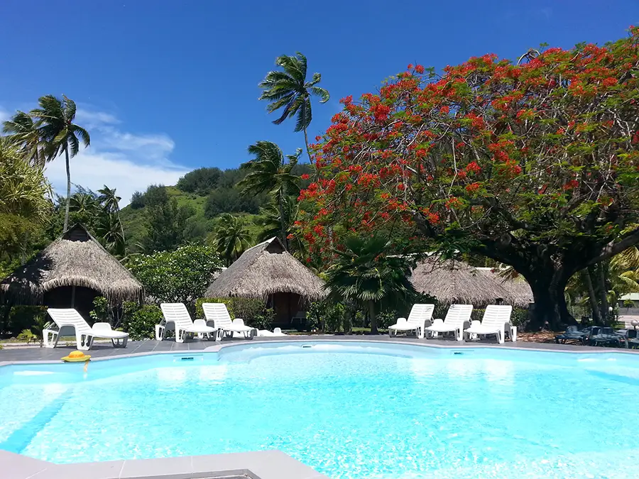 Moorea Hibiscus piscine