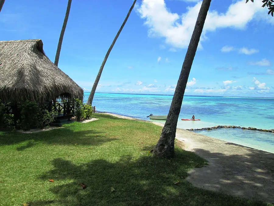 Moorea hibiscus plage