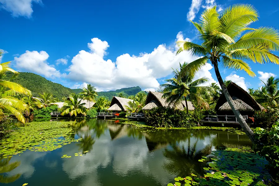 séjour en hôtellerie de luxe avec les hôtels maitai intercontinental 9