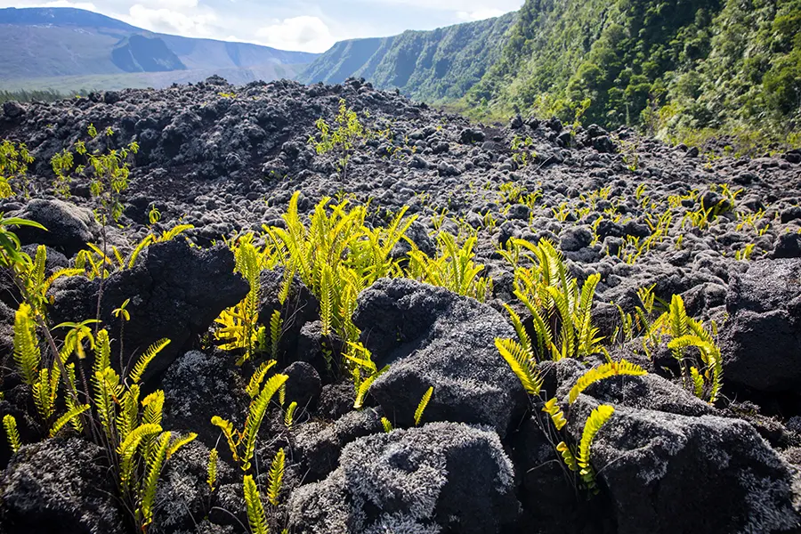 Île de la réunion JLT Voyages 3