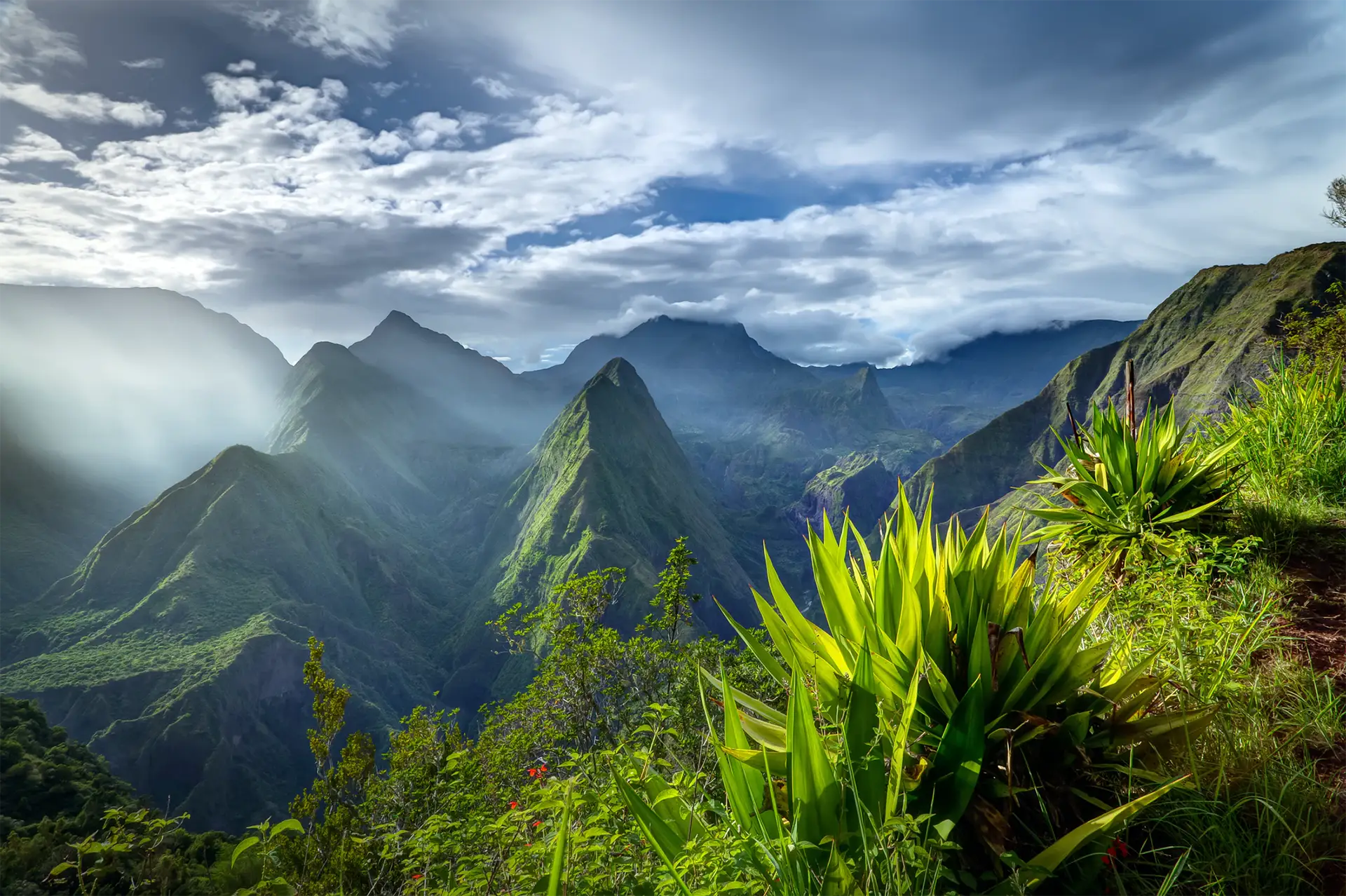 l'Île de La Réunion 3