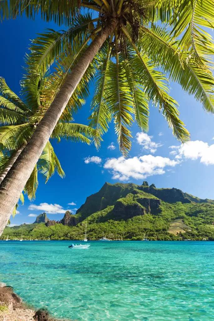Moorea Lagon et palmiers