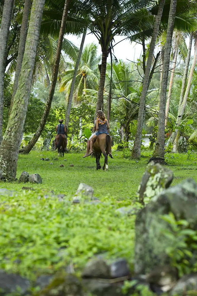 Rurutu-randonnee-cheval