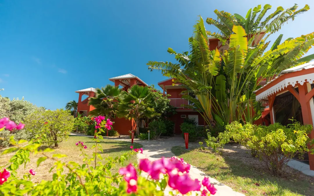 Saint Martin – Séjour à l&rsquo;hôtel Palm Court****