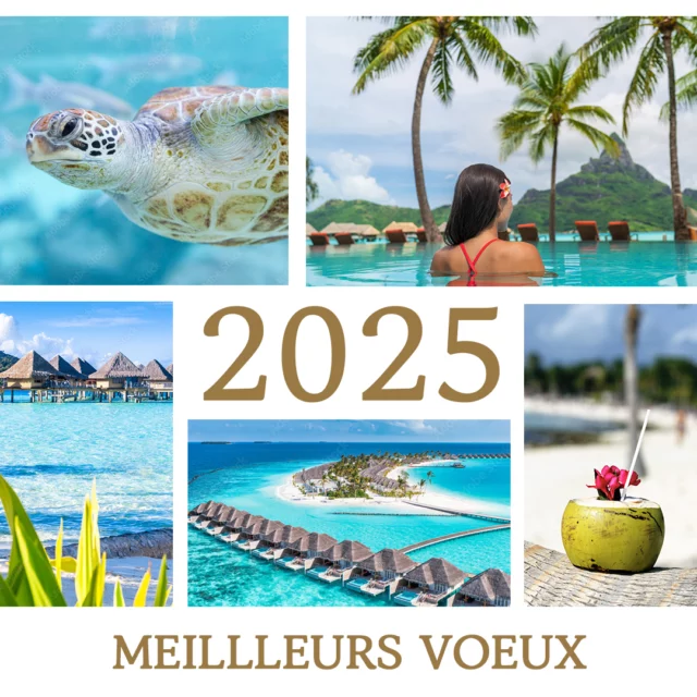Toute l’équipe de JLT Voyages vous présente ses meilleurs vœux pour 2025 
Pour cette nouvelle année, nous vous souhaitons des horizons infinis, des lagons éclatants et des moments inoubliables à explorer des terres lointaines.

✨ Que diriez-vous de découvrir la magie de la Polynésie en 2025 ? De Tahiti aux Marquises, en passant par les Australes ou les Tuamotu, chaque île est une promesse d’évasion, de nature préservée et de rencontres extraordinaires.

Avec JLT Voyages, votre rêve d’îles paradisiaques devient réalité. Alors, prêts à embarquer pour l’aventure cette année ?