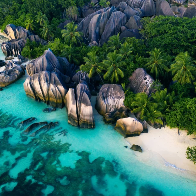 🌴 Envie d’évasion dans les îles ? 🏝️✨
Des plages paradisiaques des Seychelles à l’authenticité de Rodrigues, en passant par les paysages grandioses de La Réunion, le charme de l’Île Maurice ou encore l’ambiance chaleureuse des Antilles, JLT Voyages vous accompagne dans la création de votre escapade sur-mesure.
🔗 Découvrez nos offres ici 👉 https://www.jltvoyages.com/inspiration-de-voyages/
📅 Pensez à réserver dès maintenant pour 2025 et laissez-vous porter par vos envies d’ailleurs !