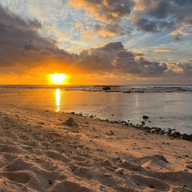 Plages et couchers de soleil en Polynésie 🌅
Là où le paradis prend tout son sens...
Imaginez-vous les pieds dans le sable chaud, un lagon aux nuances irréelles devant vous et le soleil couchant embrasant l’horizon… De Bora Bora à Tikehau, en passant par les îles Australes, la Polynésie Française vous offre des décors de carte postale où le temps suspend son vol. 🌺✨
Si JLT Voyages devait choisir une plage d’exception en Polynésie Française, cela serait sans l’une doute, une des très belles plages des îles Australes, en particulier sur l’île de Rurutu 🌺 Avec son sable blanc d’une douceur incroyable, son lagon aux dégradés de bleu irréels et ses couchers de soleil à couper le souffle. Le rêve polynésien à l’état pur.
🌊 Pourquoi citer les plages des îles Australes, et en particulier celle de Rurutu ?
✔️ Parce qu’elles font partie des plus belles plages de la Polynésie Française pour l’équipe de JLT Voyages
✔️ Parce que la nature y est reine, préservée et authentique
✔️ Parce que les eaux sont cristallines, parfaites pour la baignade et le snorkeling 🐠
✔️ Parce que ce sont des spots uniques pour admirer les magnifiques couchers de soleil qu’offre la Polynésie Française 💕
✔️ Parce qu’on a le sentiment d’être seul au monde, et çà, çà n’a pas de prix
➡️ Avec JLT Voyages, créez votre voyage sur mesure vers ces décors idylliques. https://www.jltvoyages.com/devis-voyages/
📷 Et pour vous, quelle est votre plage préférée en Polynésie Française ?
