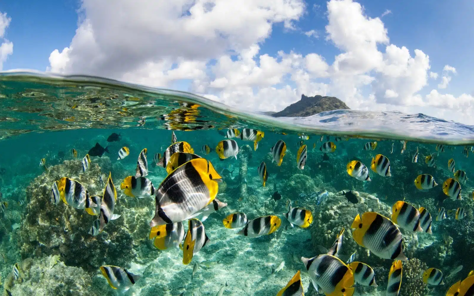 Moorea
