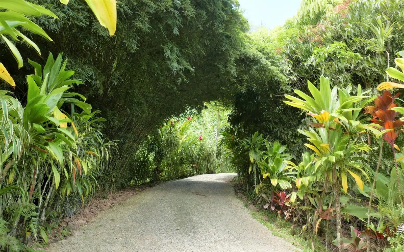 Huahine JLT voyages