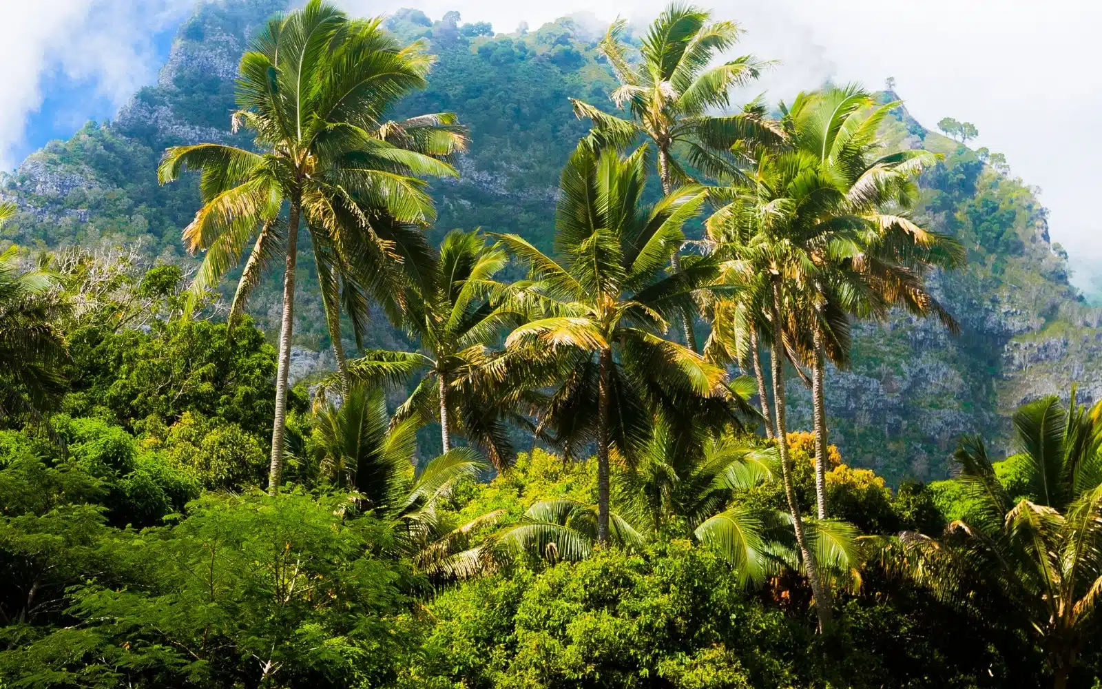 Hiva Oa