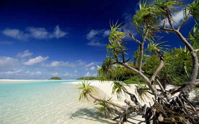 Les Australes, petit paradis loin des sentiers battus en Polynésie Française - Polynésie française