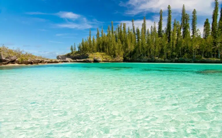 Nouvelle-Calédonie & ses îles - Nouvelle-Calédonie