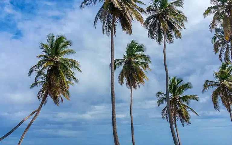 Immersion Calédonienne en circuit guidé - Nouvelle-Calédonie